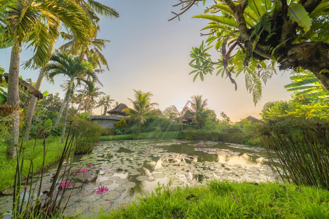 Uma Dawa Resort And Spa Убуд Экстерьер фото
